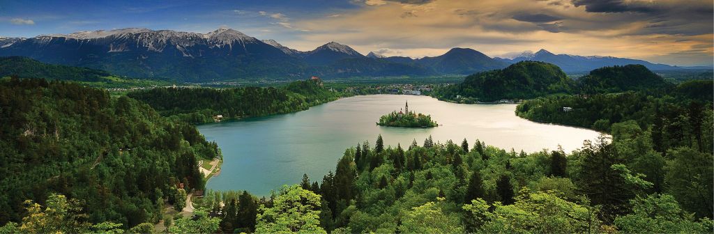 Bled Rowing Panorama Bled